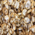 ALMOND DOOWA