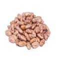 BORLOTTI BEANS (Australian)