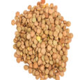 BROWN LENTILS (Australian)
