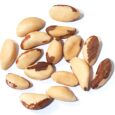 BRAZIL NUTS