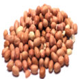 RAW CHICKPEAS