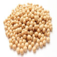 SOYA BEANS